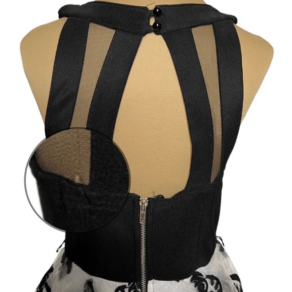 Crystal Doll Black & White Floral Velvet Fit & Flare Dress - Picture 11 of 12